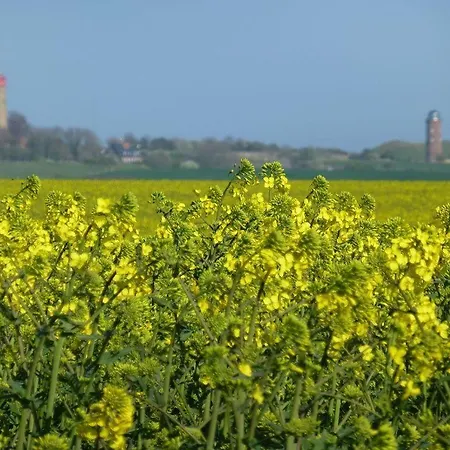Oberdeck-am-hafen